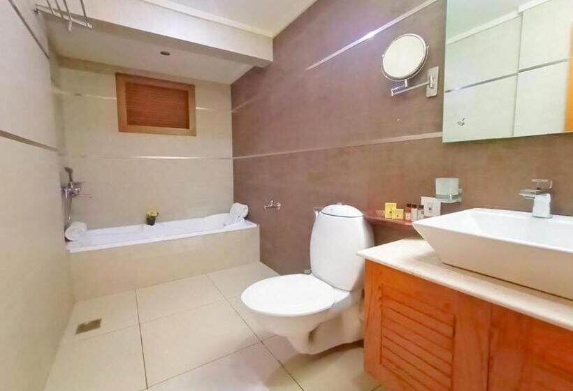 اتاق سوپریور با تخت بزرگ, Hill Palace Hotel & Spa