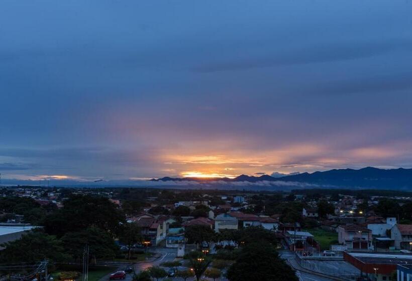 Tek Kişilik Delüks Oda, Domum