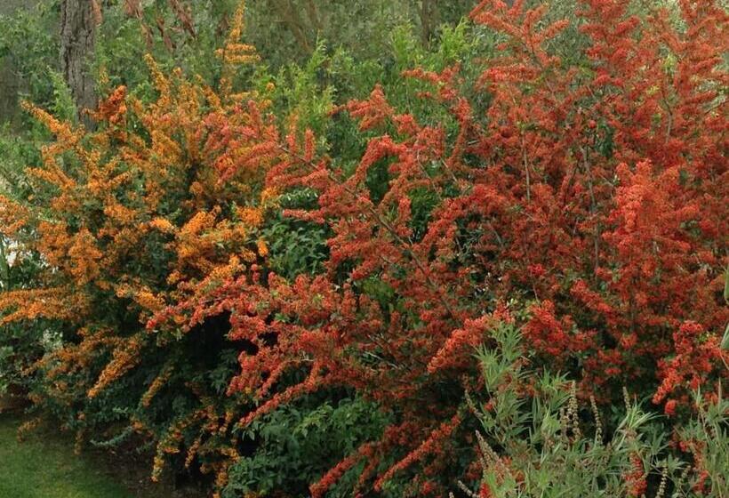 סוויטה, Le Palazze B&b