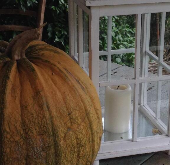 סוויטה, Le Palazze B&b