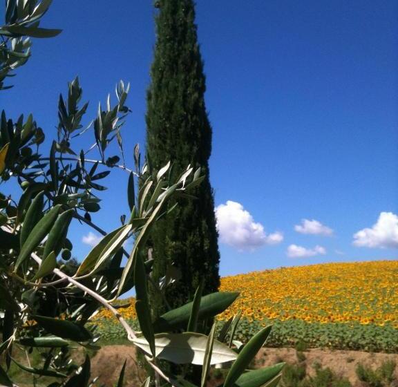 סוויטה, Le Palazze B&b