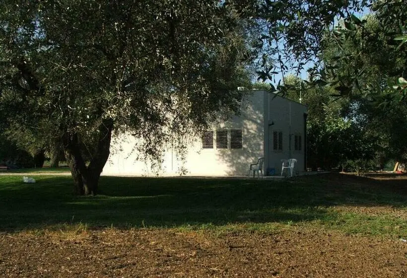 اتاق استاندارد, B&b Finestre Tra Gli Ulivi