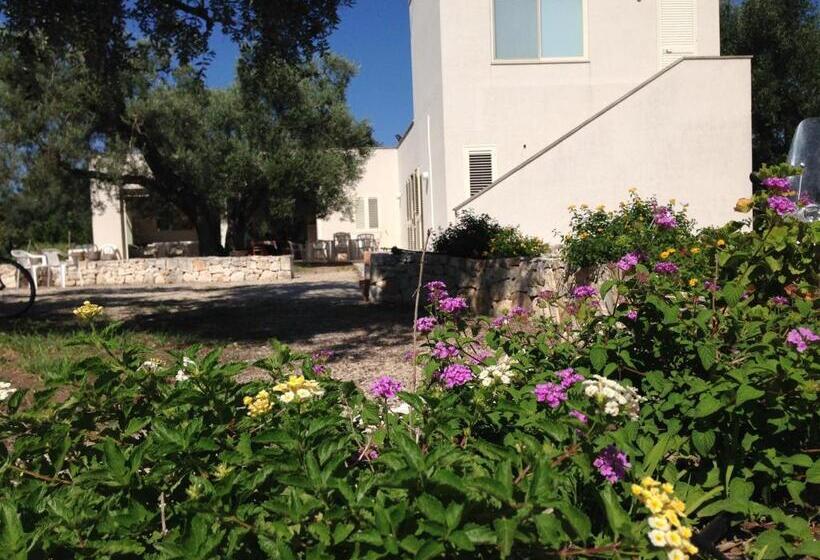 스탠다드 룸, B&b Finestre Tra Gli Ulivi