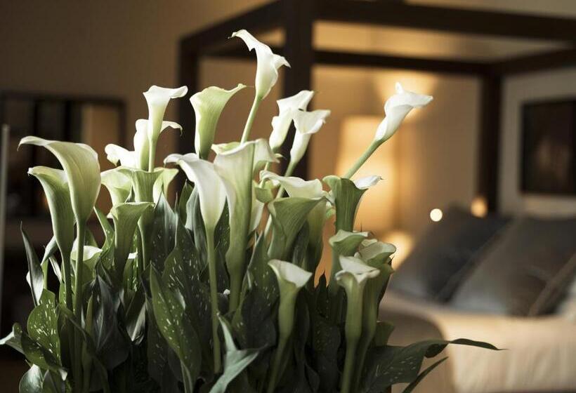 スイート, Filario Hotel & Residences