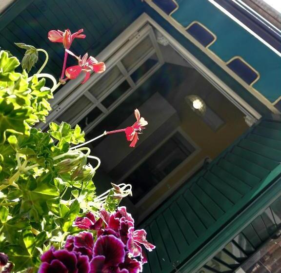 غرفة سوبيريور فردية, Albergo B&b Ristorante Grace