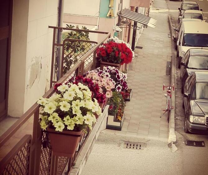 غرفة قياسية فردية, Albergo B&b Ristorante Grace