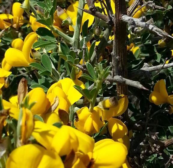 Трехместный Номер Стандарт Вид на Сад, Hôtel Beach