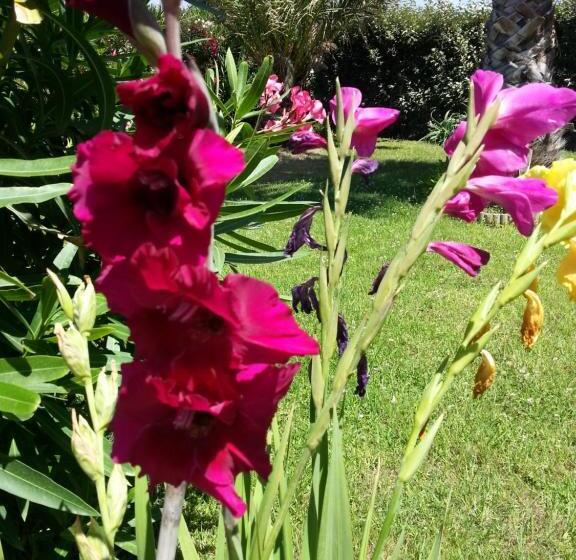 Трехместный Номер Стандарт Вид на Сад, Hôtel Beach