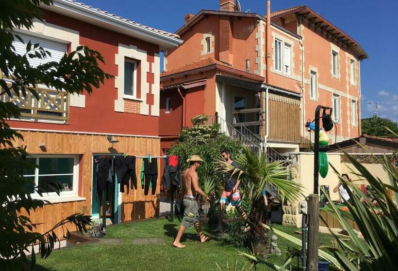 Кровать в Общей Комнате, Villa Zenith Hostel La Surf House