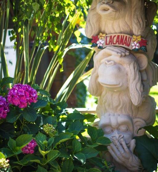 سرير فى غرفة مشتركه, Villa Zenith Hostel La Surf House