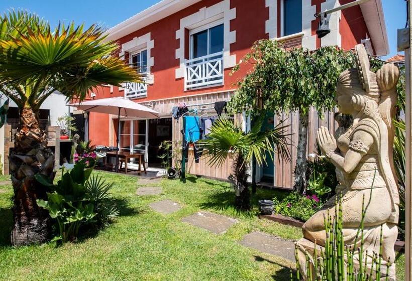 Кровать в Общей Комнате, Villa Zenith Hostel La Surf House
