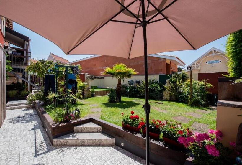 غرفة قياسية, Villa Zenith Hostel La Surf House