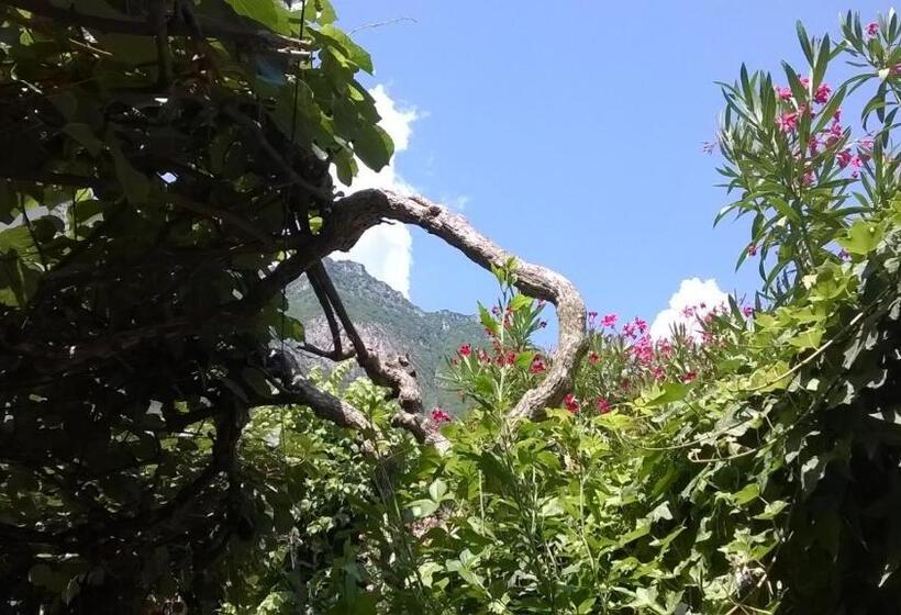 חדר דלוקס, Sangalli