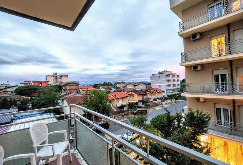 اتاق خانوادگی, Ben Hur