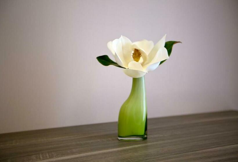 חדר סטנדרט, Tiro A Volo