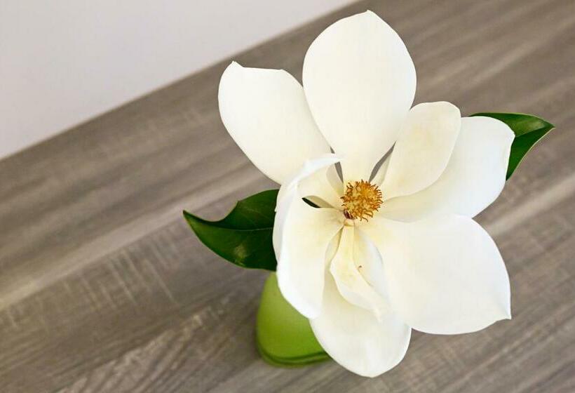 חדר סטנדרט, Tiro A Volo