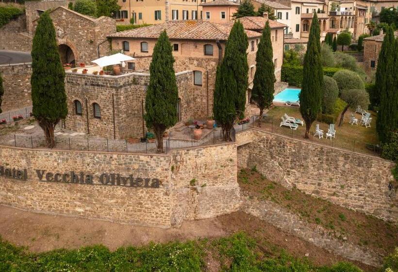 スタンダードルーム, Vecchia Oliviera