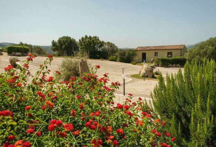 اتاق استاندارد, B&b Terra E Smeralda