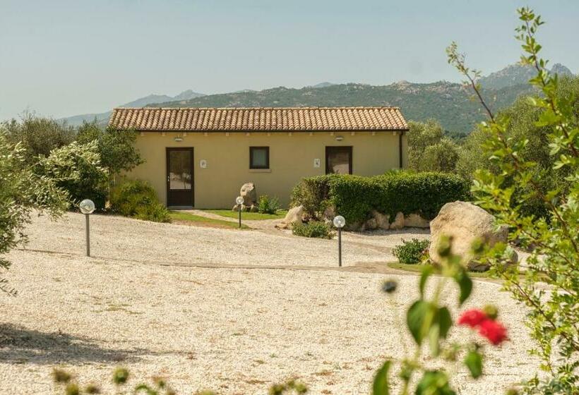 اتاق استاندارد, B&b Terra E Smeralda