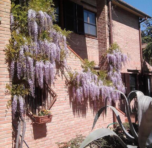 חדר סטנדרט, B&b Timeout