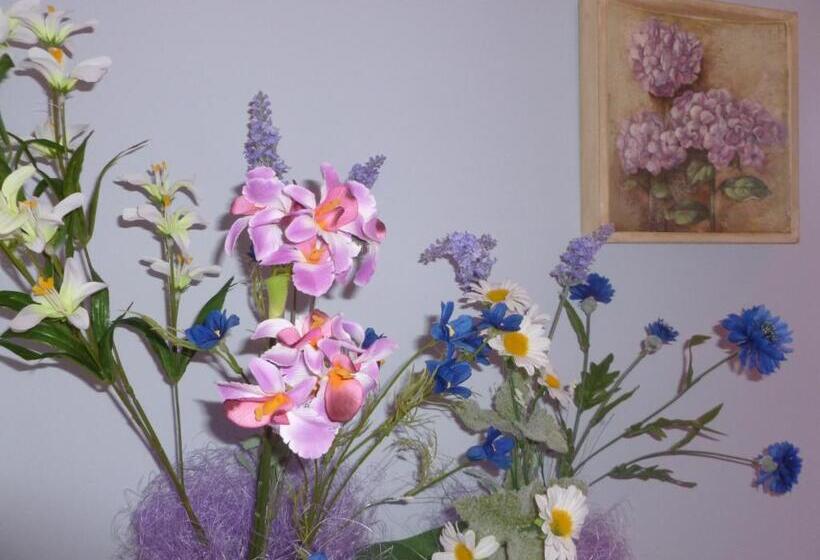 חדר סטנדרט, B&b Timeout