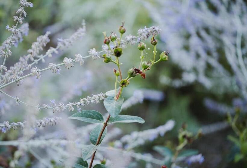חדר סטנדרט לארבעה, B&b Timeout