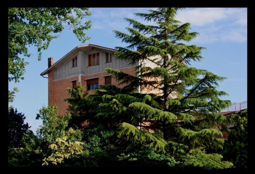 Номер Economy, Nuovo Mondo