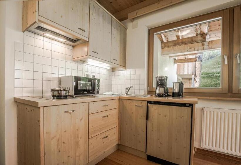 1 Bedroom Apartment Mountain View, Ciasa Rü Blanch