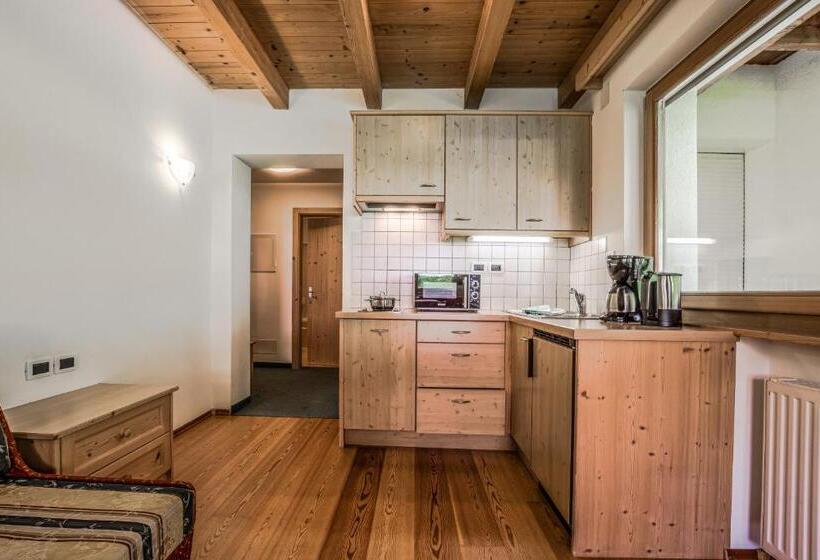 1 Bedroom Apartment Mountain View, Ciasa Rü Blanch