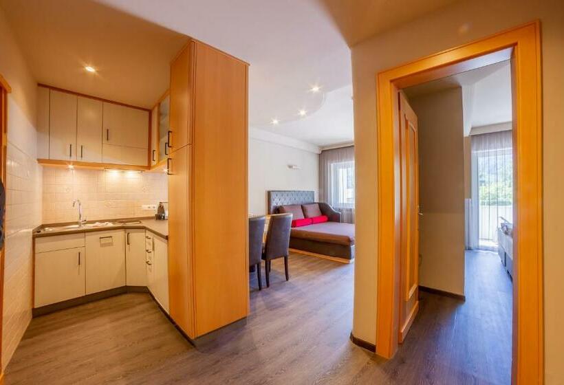침실 1개 전망 아파트, Familien Wellness Residence Tyrol