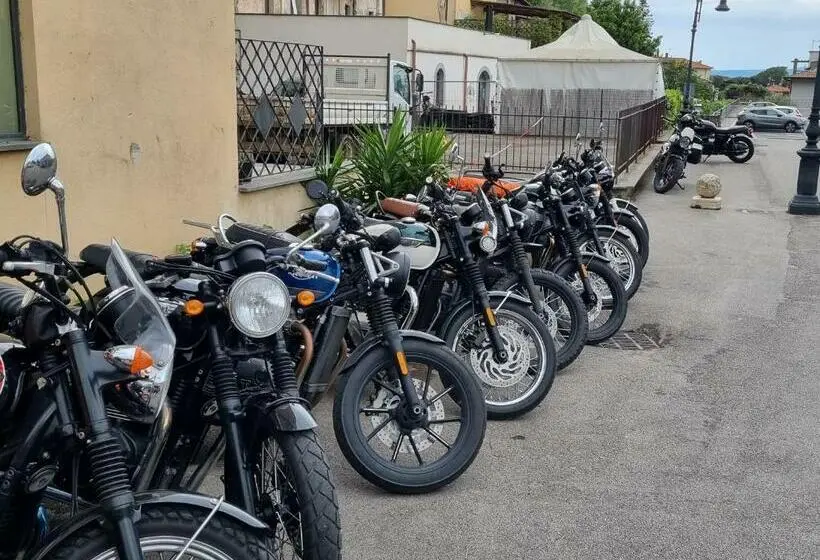 スタンダードルーム, Nazionale