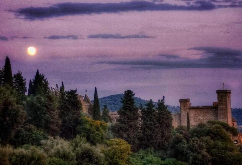 컴포트 트리플 룸, Nazionale