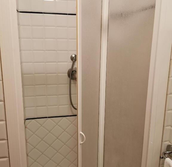 スタンダードルーム, Nazionale