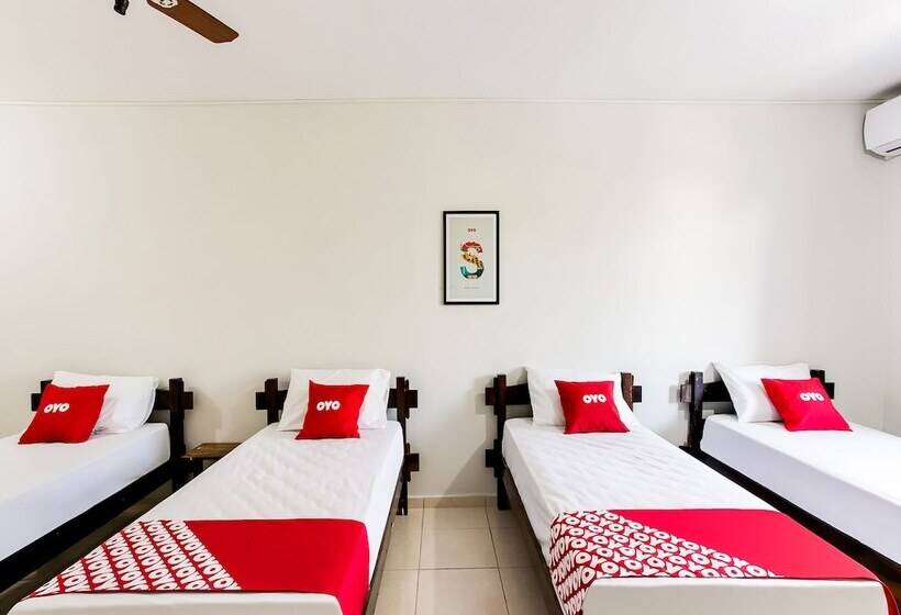 Habitación Cuádruple Economy, Nobrega Aeroporto De Congonhas