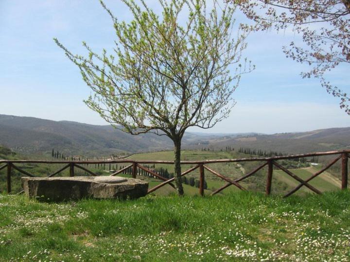 חדר סטודיו סטנדרד, Camere E Appartamenti Baldini Romanita