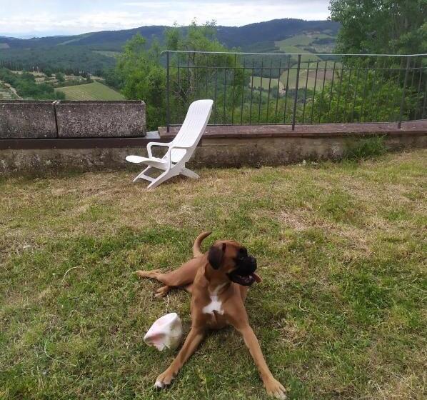 חדר סטנדרט, Camere E Appartamenti Baldini Romanita