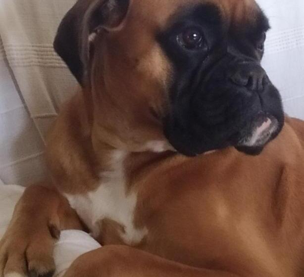 חדר סטודיו סטנדרד, Camere E Appartamenti Baldini Romanita