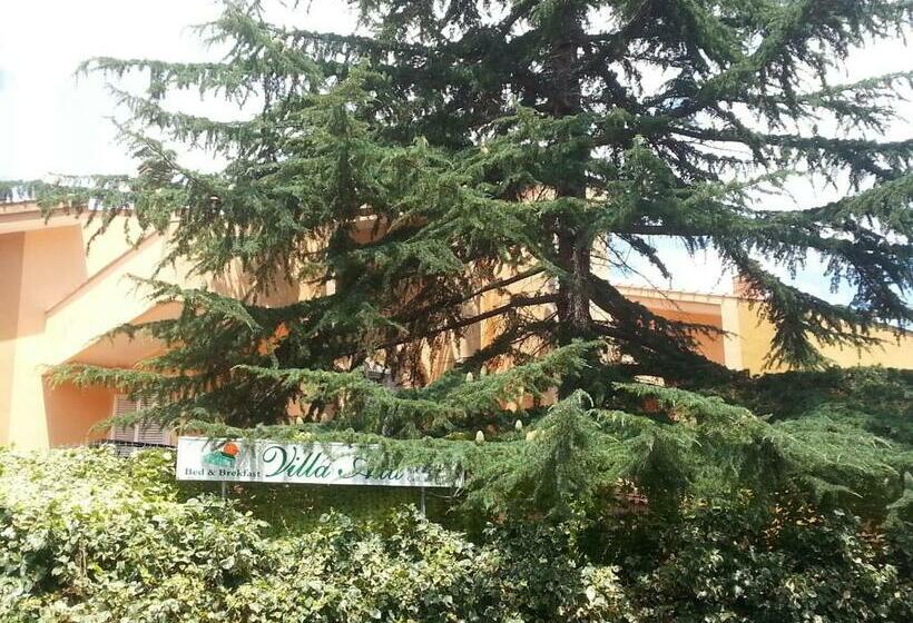 غرفة قياسية, Villa Axa