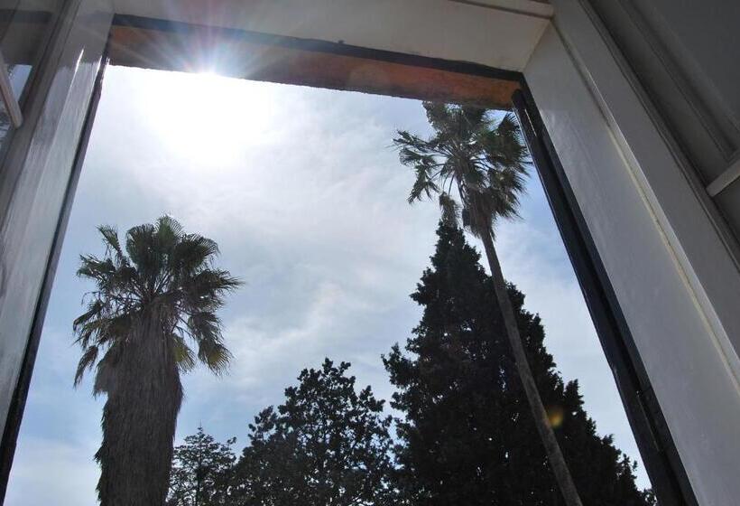 Standardrum, Donna Bianca B&b