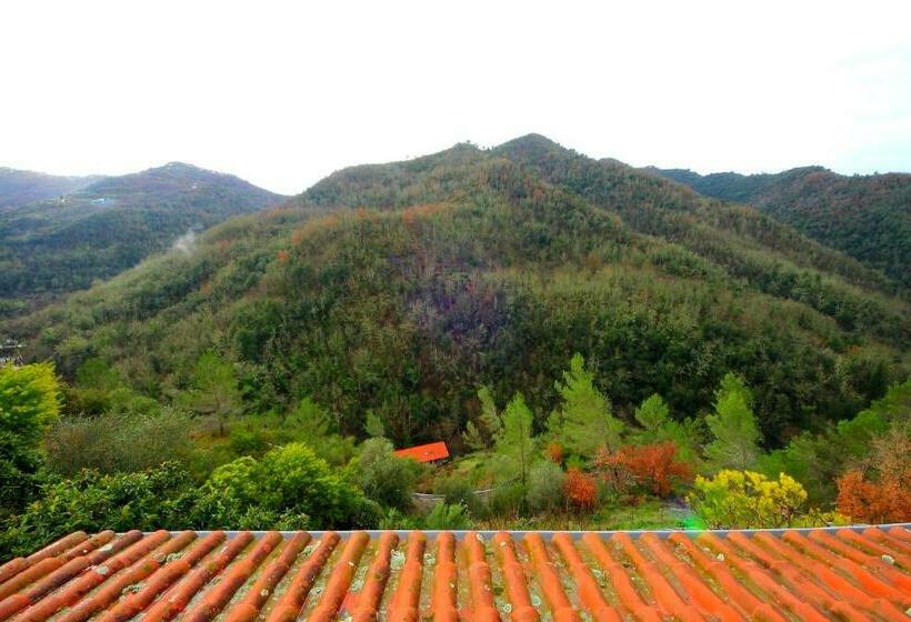 غرفة قياسية, La Favorita Apricale B&b & Ristorante