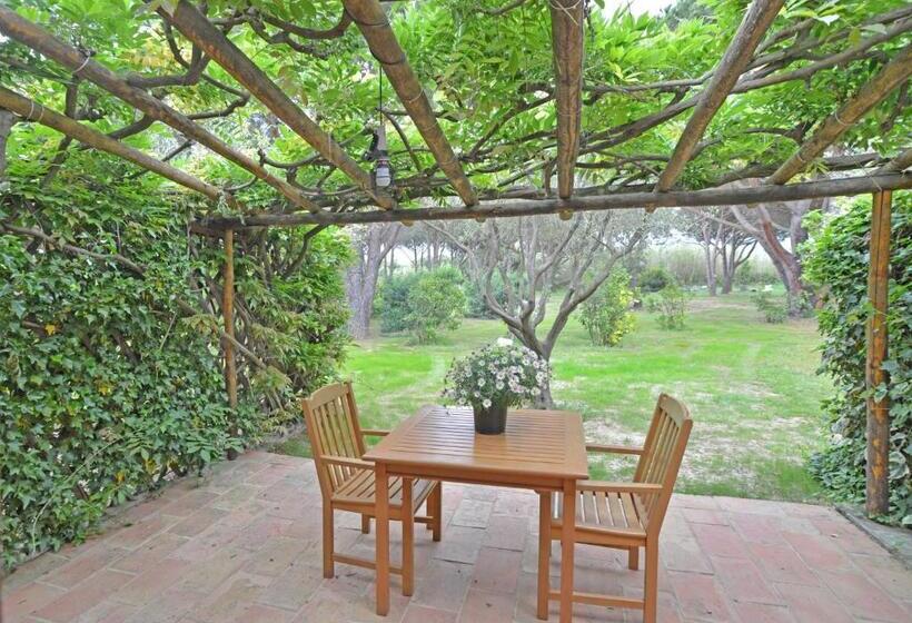 컴포트 룸, Leï Souco