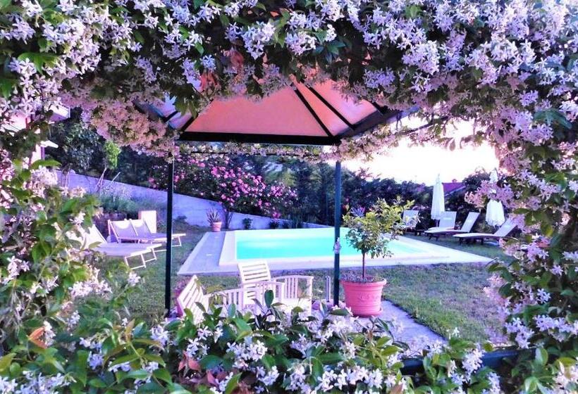 スタンダードルーム, Domus Langhe B&b