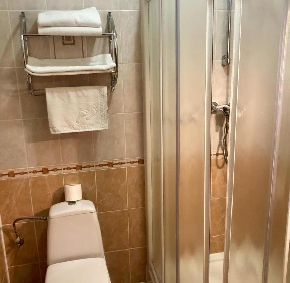 غرفة سوبيريور عائلية, Chervona Gora