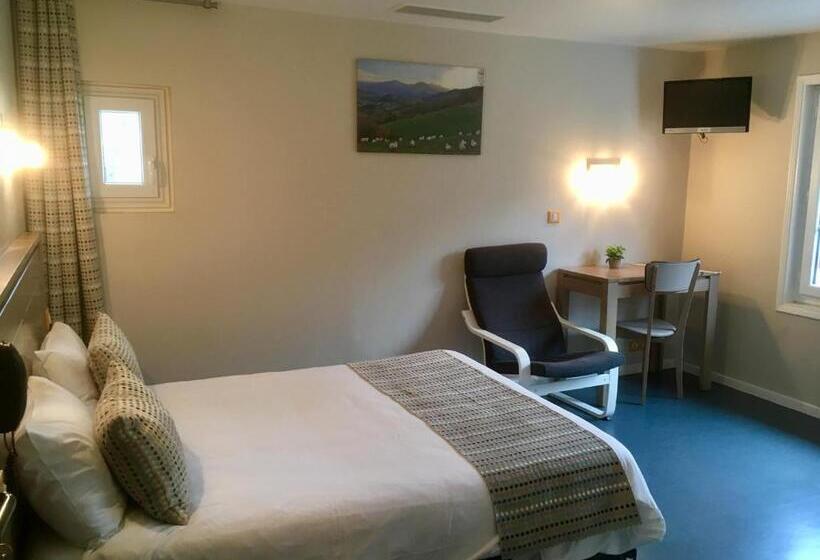 スタンダードルーム, Manexenea