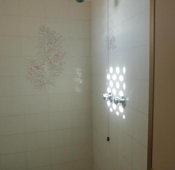 エコノミールーム, Paolina