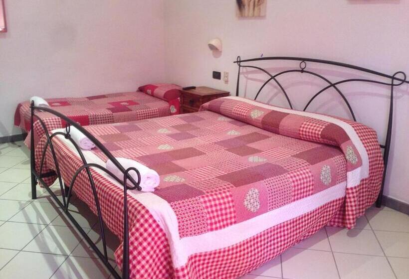 エコノミートリプルルーム, Paolina