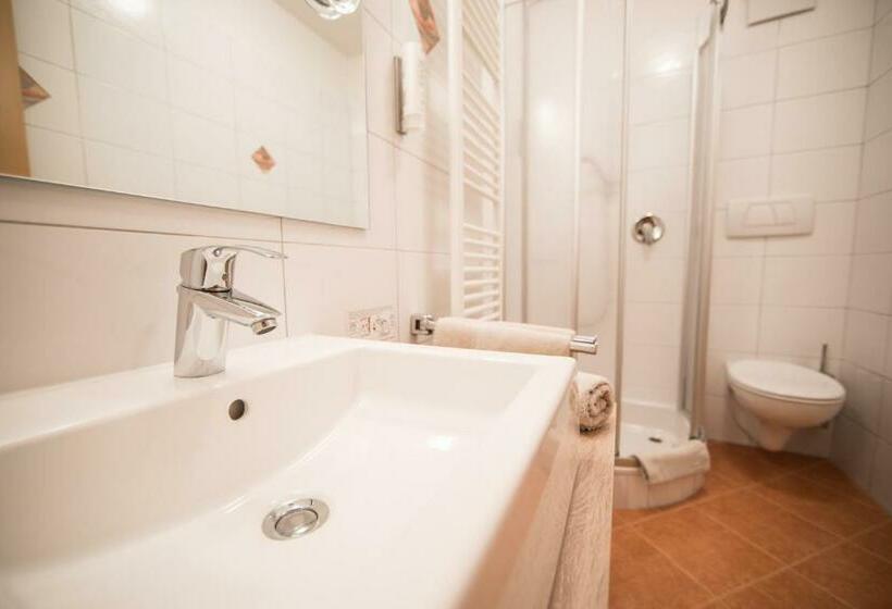 غرفة قياسية مطلة على الجبل, Waidmannhof