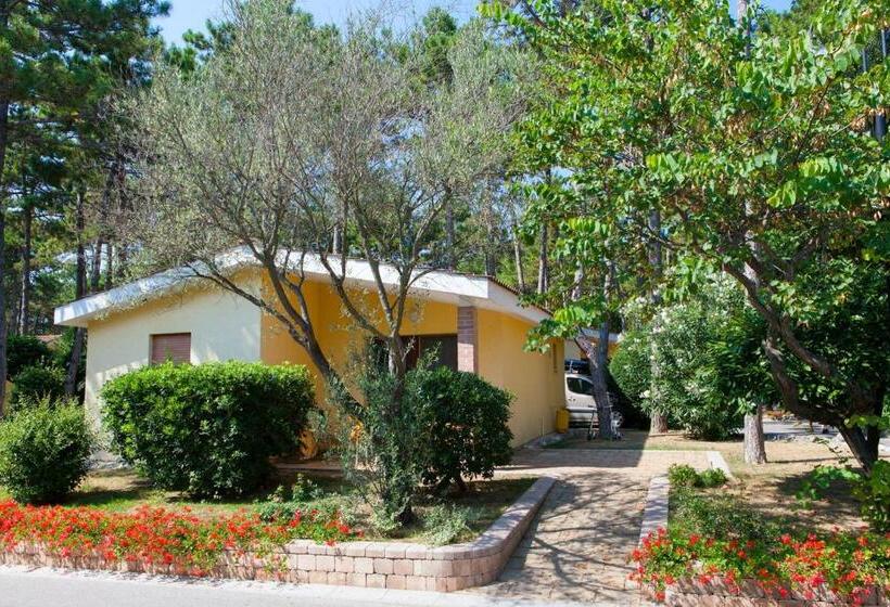 ویلای 2 خوابه, Villaggio Turistico Internazionale