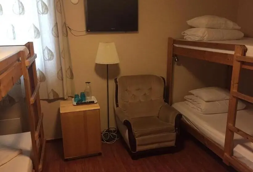 浴室共有スタンダード４人用ルーム, Viking Motel