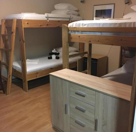 Номер Стандарт Четырехместный Совместный Санузел, Viking Motel